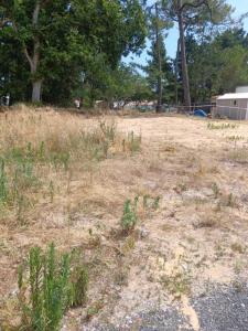 Vente Terrain SAINT-JEAN-DE-MONTS 85160