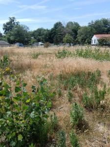 Vente Terrain SAINT-JEAN-DE-MONTS 85160