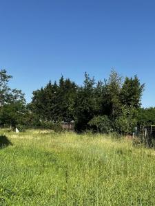 Vente Terrain PESSAC 33600