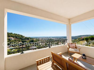 Vente Maison 12 pi�ces PENTA-DI-CASINCA 20213