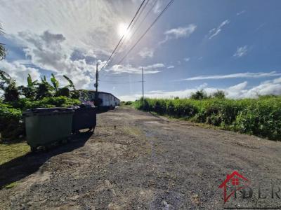 Vente Terrain LAMENTIN 97129