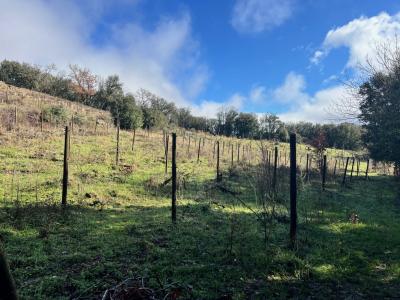 Vente Terrain SAINT-JULIEN 34390