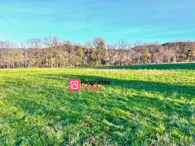 Vente Terrain CHAPDES-BEAUFORT 63230
