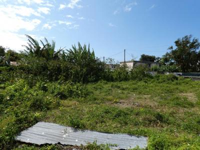 Vente Terrain SAINT-BENOIT 97470