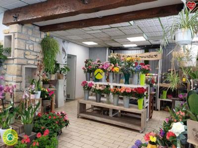 Vente Local commercial SAINT-FLORENT-SUR-CHER 18400