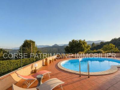 Vente Prestige ANTISANTI 20270