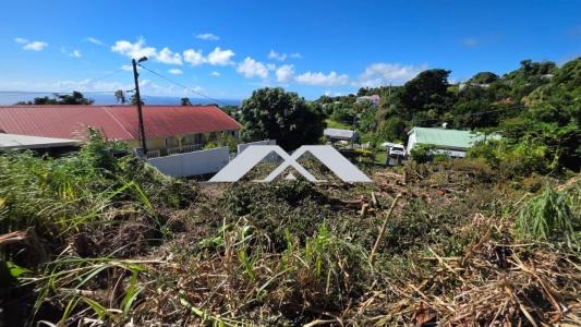 Vente Terrain SAINTE-MARIE 97438