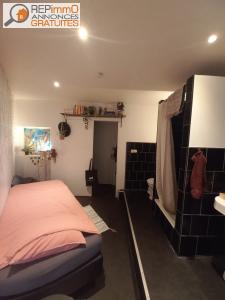 Location Appartement 2 pi�ces TOURS 37200