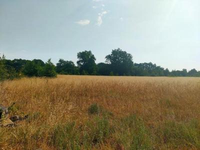 Vente Terrain SAINTE-EULALIE 33560