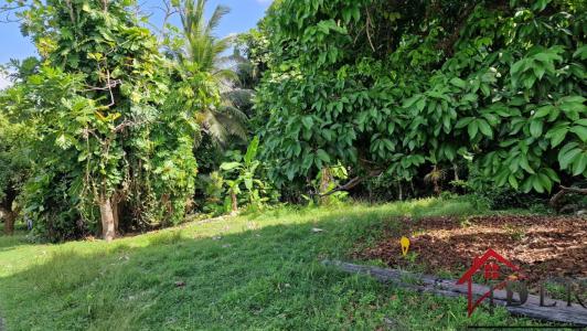 Vente Terrain PETIT-BOURG 97170