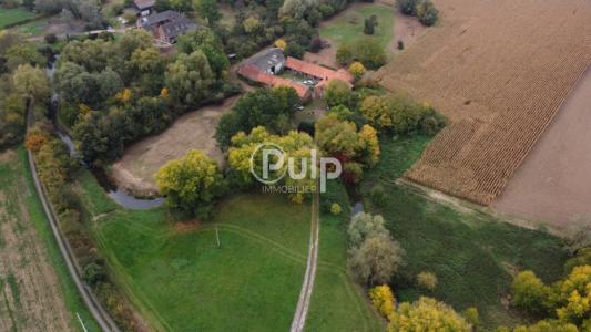 Vente Maison STEENWERCK 59181