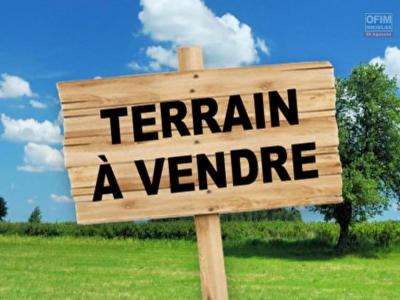 Vente Terrain POSSESSION 97419