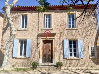 Vente Maison 8 pi�ces MONTSERET 11200