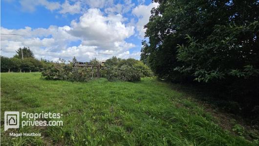 Vente Maison 4 pi�ces LOGES-MARCHIS 50600