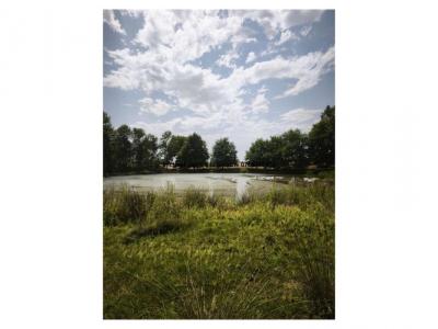 Vente Prestige COURLAY 79440
