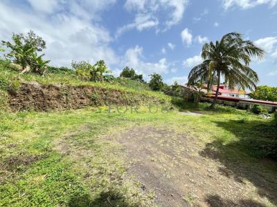 Vente Terrain GOURBEYRE 97113