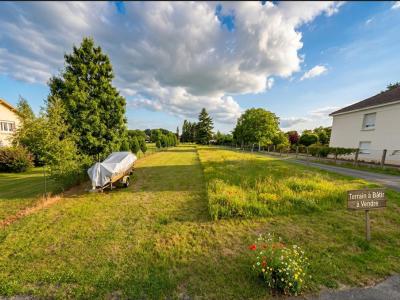 Vente Terrain CHAMPTOCEAUX 49270