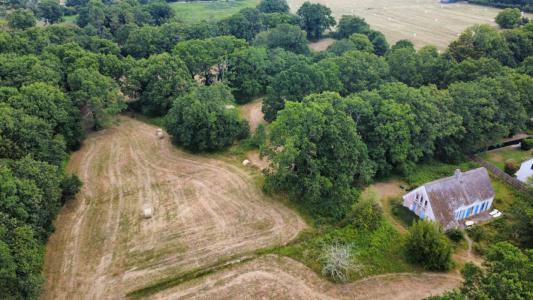 Vente Maison 7 pi�ces SAINT-LYPHARD 44410