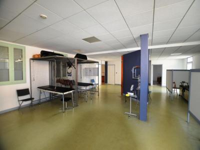 Vente Local commercial AUCH 32000