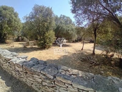 Vente Terrain BONIFACIO 20169