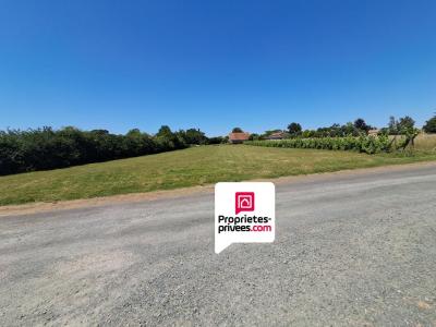 Vente Terrain PETOSSE 85570