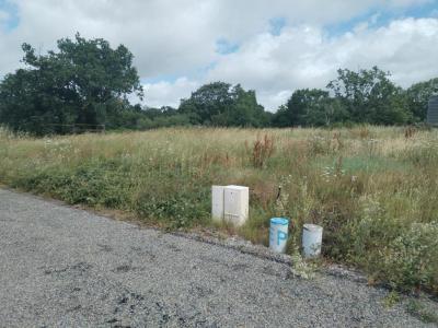 Vente Terrain HAIE-FOUASSIERE 44690
