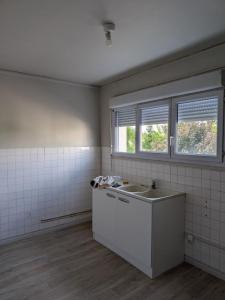 Location Appartement 3 pi�ces RAVIERES 89390