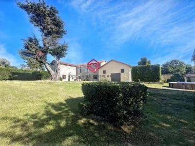 Vente Maison 9 pi�ces MIELAN 32170