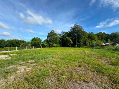 Vente Terrain BEAUFORT 59330