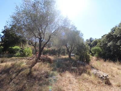 Vente Terrain BOISSERON 34160