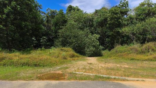 Vente Terrain MACOURIA 97355