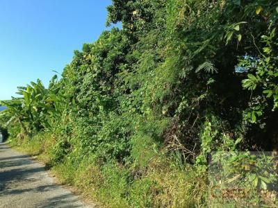 Vente Terrain SAINTE-ROSE 97439