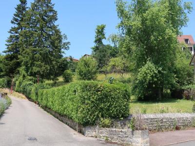 Vente Terrain MISEREY-SALINES 25480
