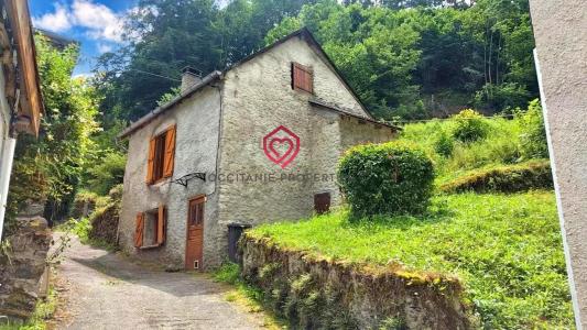 Vente Maison 3 pi�ces COUFLENS 09140