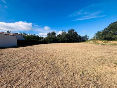 Vente Terrain REVEL 31250