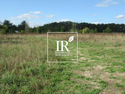 Vente Terrain CHAUMONT-SUR-THARONNE 41600