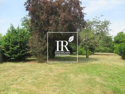 Vente Terrain LAMOTTE-BEUVRON 41600