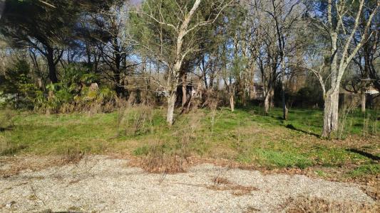 Vente Terrain NOAILLAN 33730