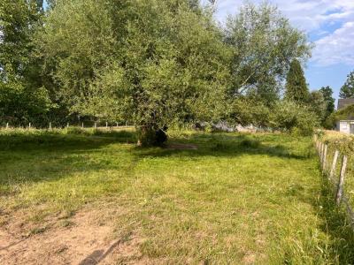 Vente Terrain AUBUSSON 61100