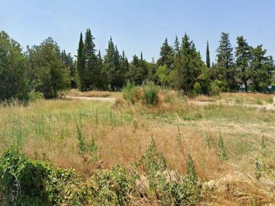 Vente Terrain GRILLON 84600