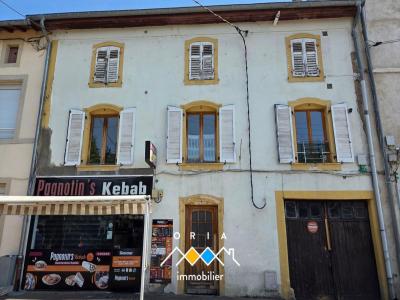 Vente Immeuble PAGNY-SUR-MOSELLE 54530