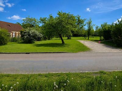 Vente Terrain CARISEY 89360