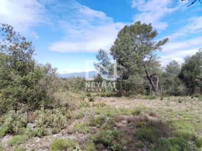 Vente Terrain MONTAUROUX 83440