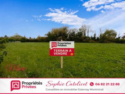 Vente Terrain SANCY-LES-PROVINS 77320