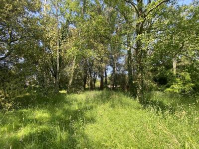 Vente Terrain SAINT-GILDAS-DE-RHUYS 56730