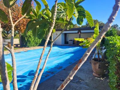 Vente Maison 4 pi�ces GAILLAC-TOULZA 31550