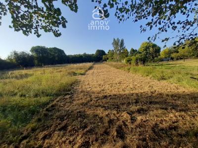 Vente Terrain SAINT-JUNIEN 87200