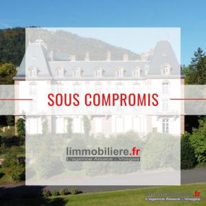 Vente Appartement 8 pi�ces SAINT-DIE 88100