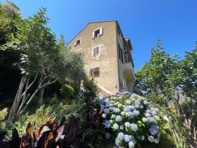 Vente Maison 9 pi�ces SAINTE-LUCIE-DE-TALLANO 20112