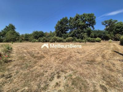 Vente Terrain DERVAL 44590